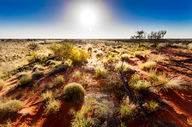 Canvas-taulu Australian Outback 776